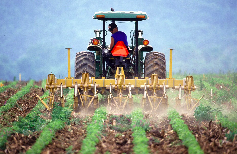 En Corse le recensement agricole démarre le 2 novembre