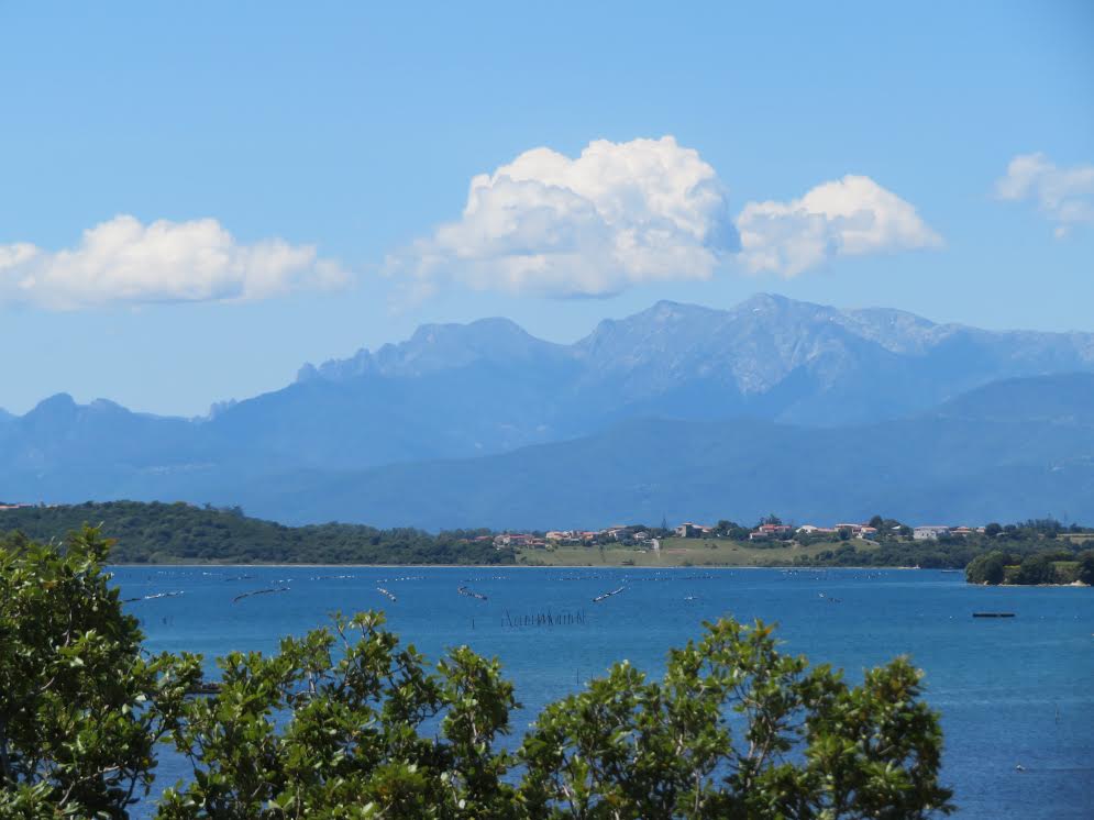 Etang de Diana (Françoise Geronimi)