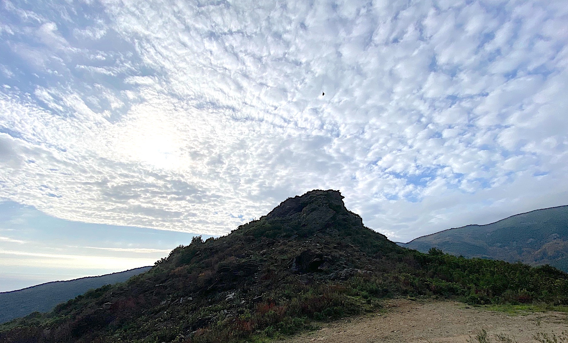 @corsenetinfos.corsica