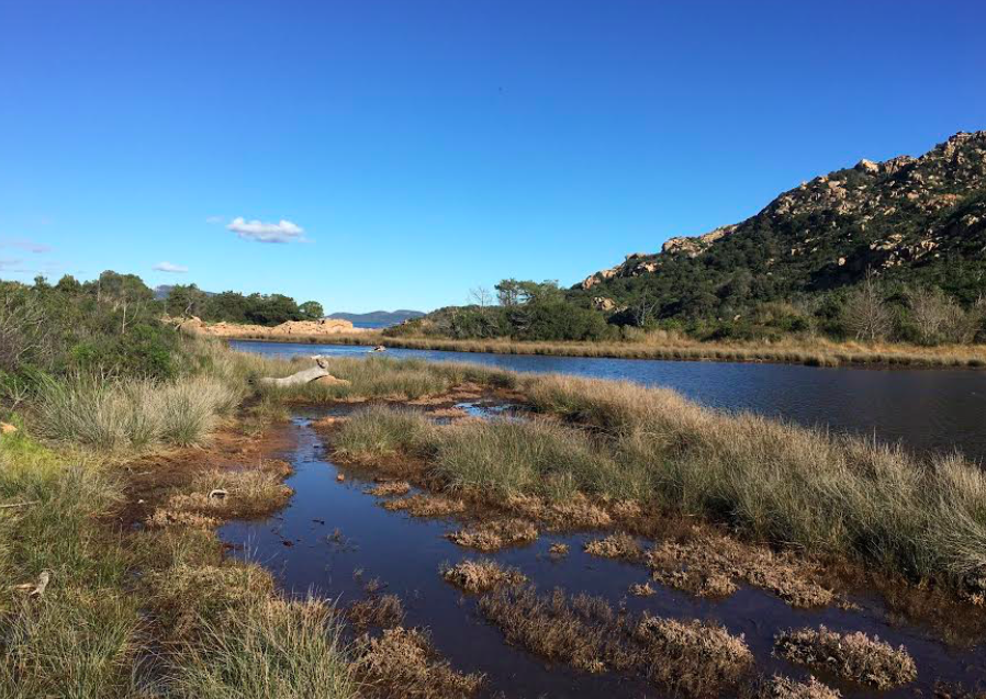 La photo du jour : Carpiccia à l'heure printanière