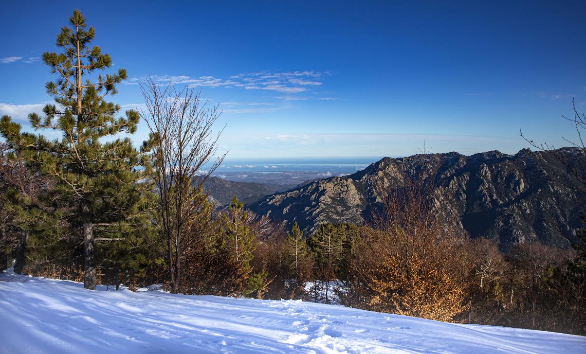 La photo du jour : "merci Ghisoni'