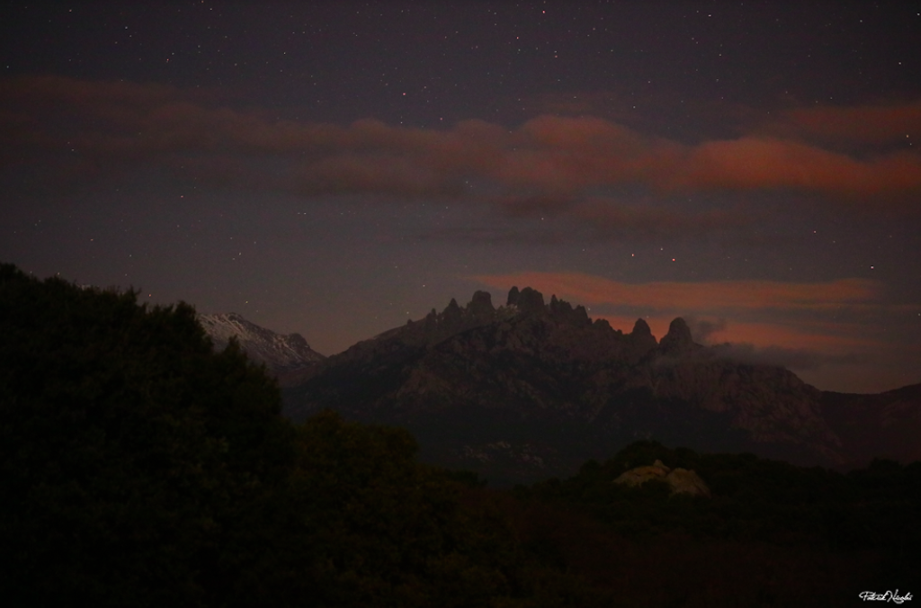 Photo  Nicolaï Patrick