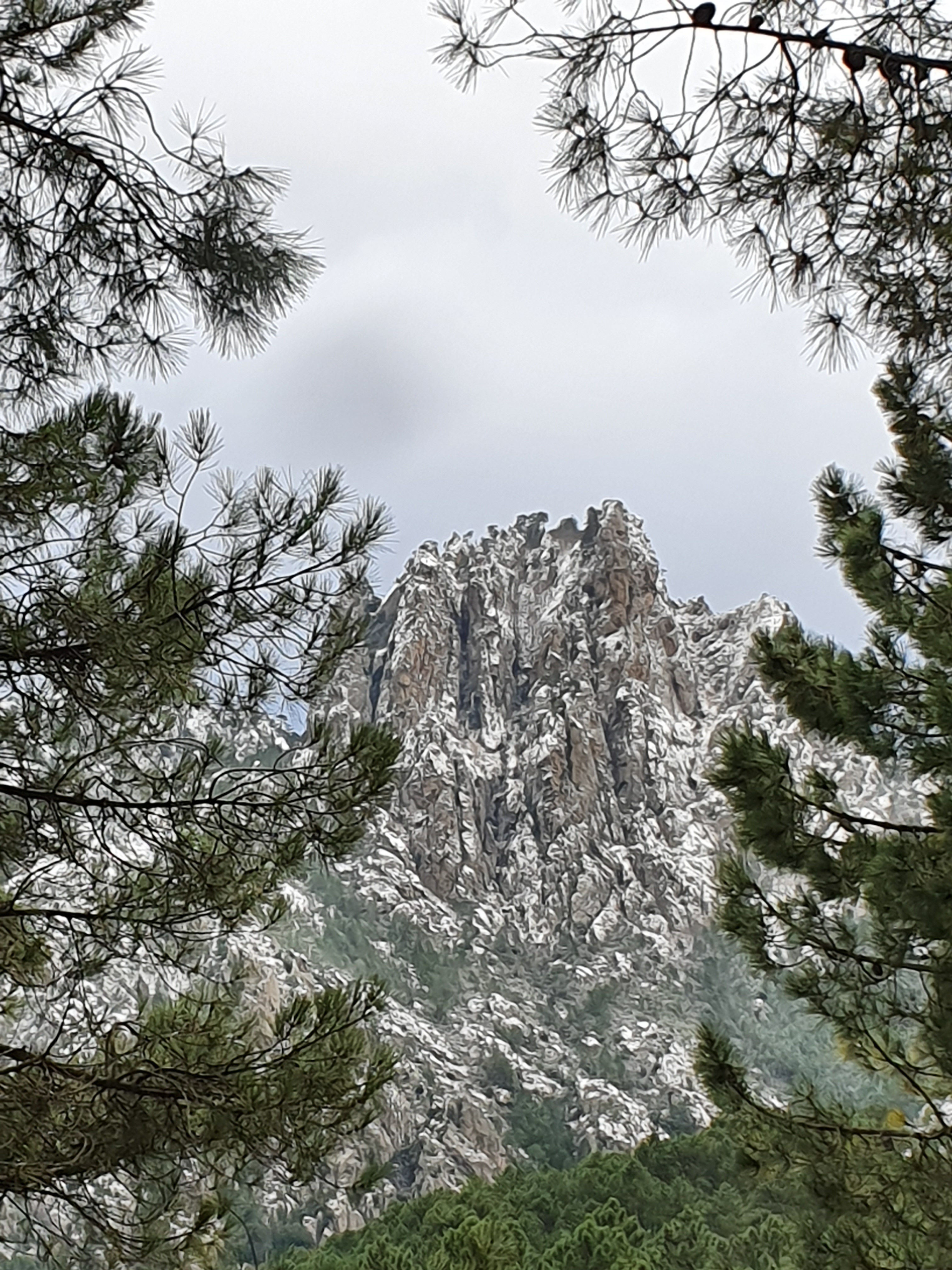 Le kyrie de Ghisoni dans son manteau d'hiver. (Hélène Mucchielli)