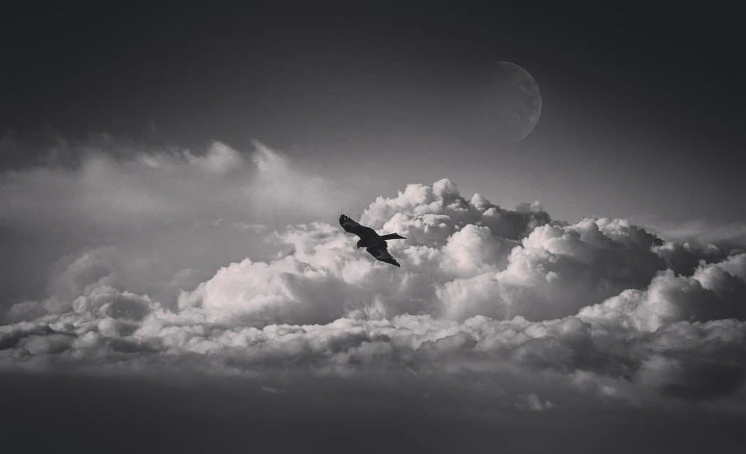 Photo Jean-Claude C.