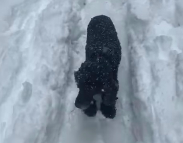 Cindy découvre la neige dans un quartier de Madrid
