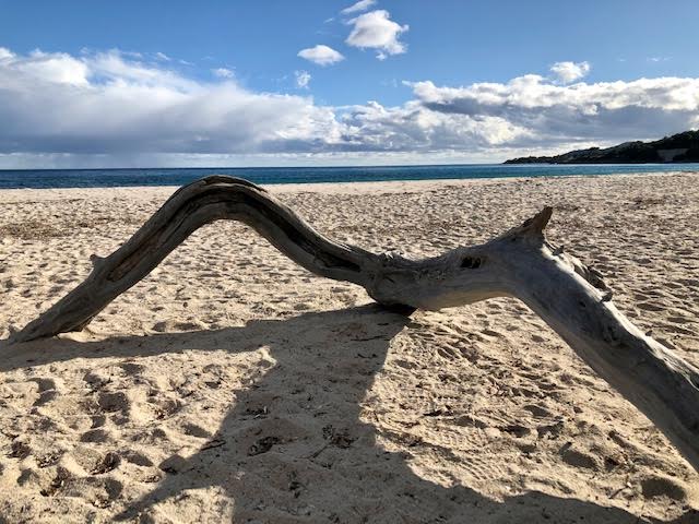 (Photo Denis Viviani)