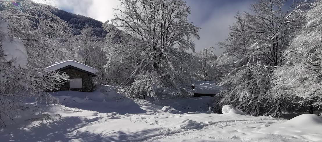 Bergerie I pozzi (photo Porri F a)