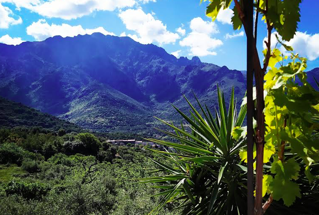 Le Monte Grosso vu de Lunghignanu (photo Clévacances Corsica)
