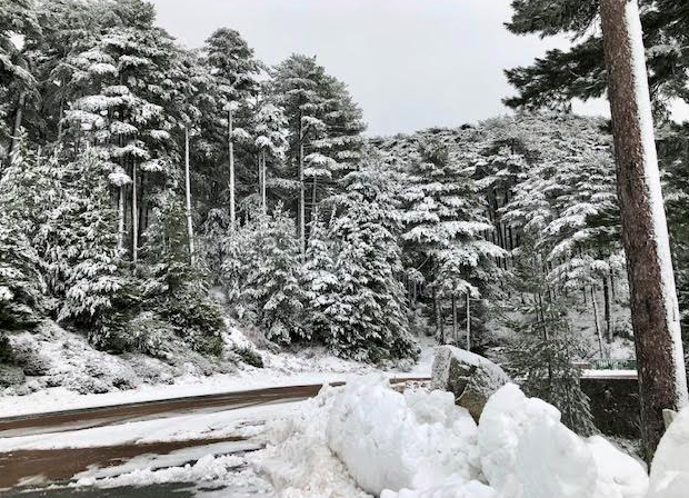 Sur la route de Bavella (photo Denis Viviani)
