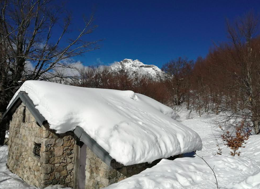 Photo  Bernard Chalbos