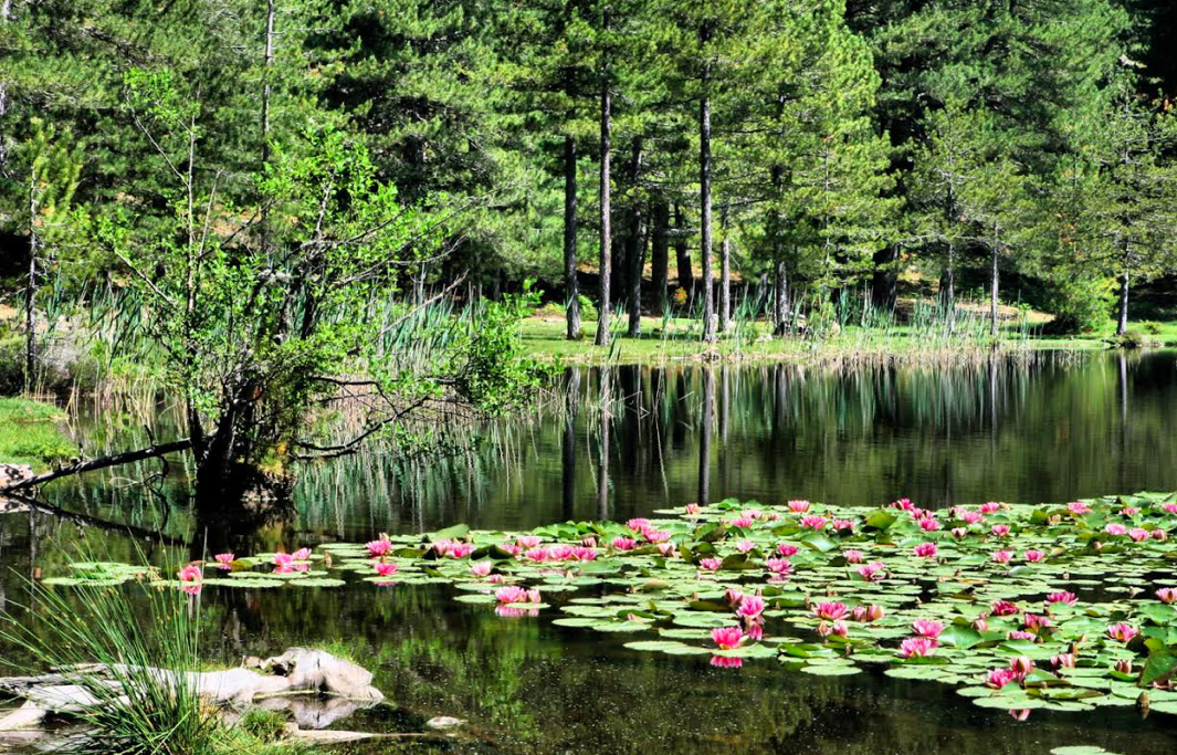 Le lac de Creno  Hyacinthe Sambroni