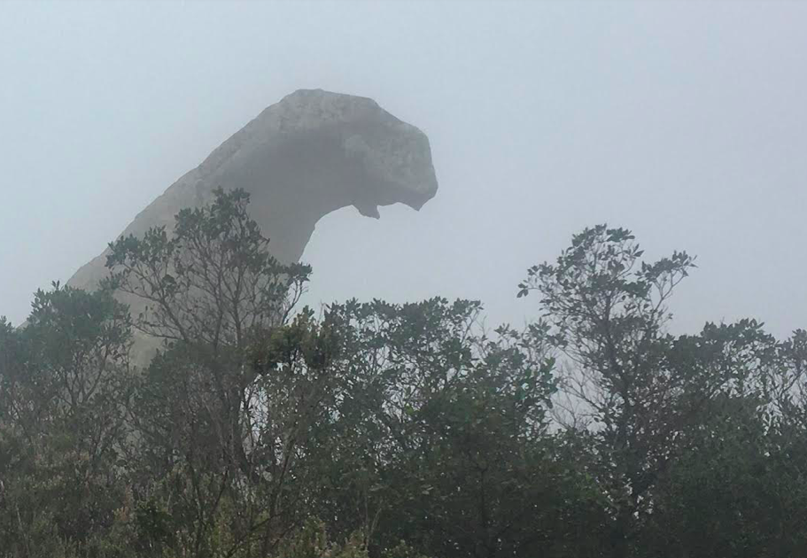 Photo Lechenault Denis