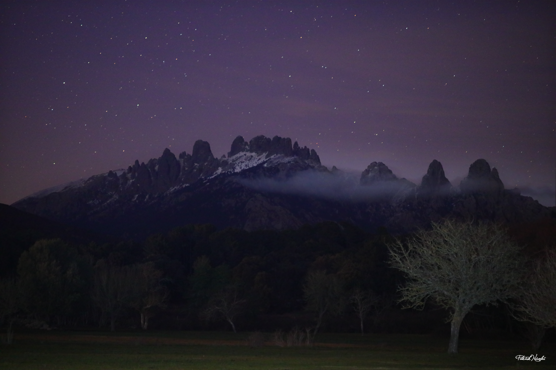 Photo Patrick Nicolaï