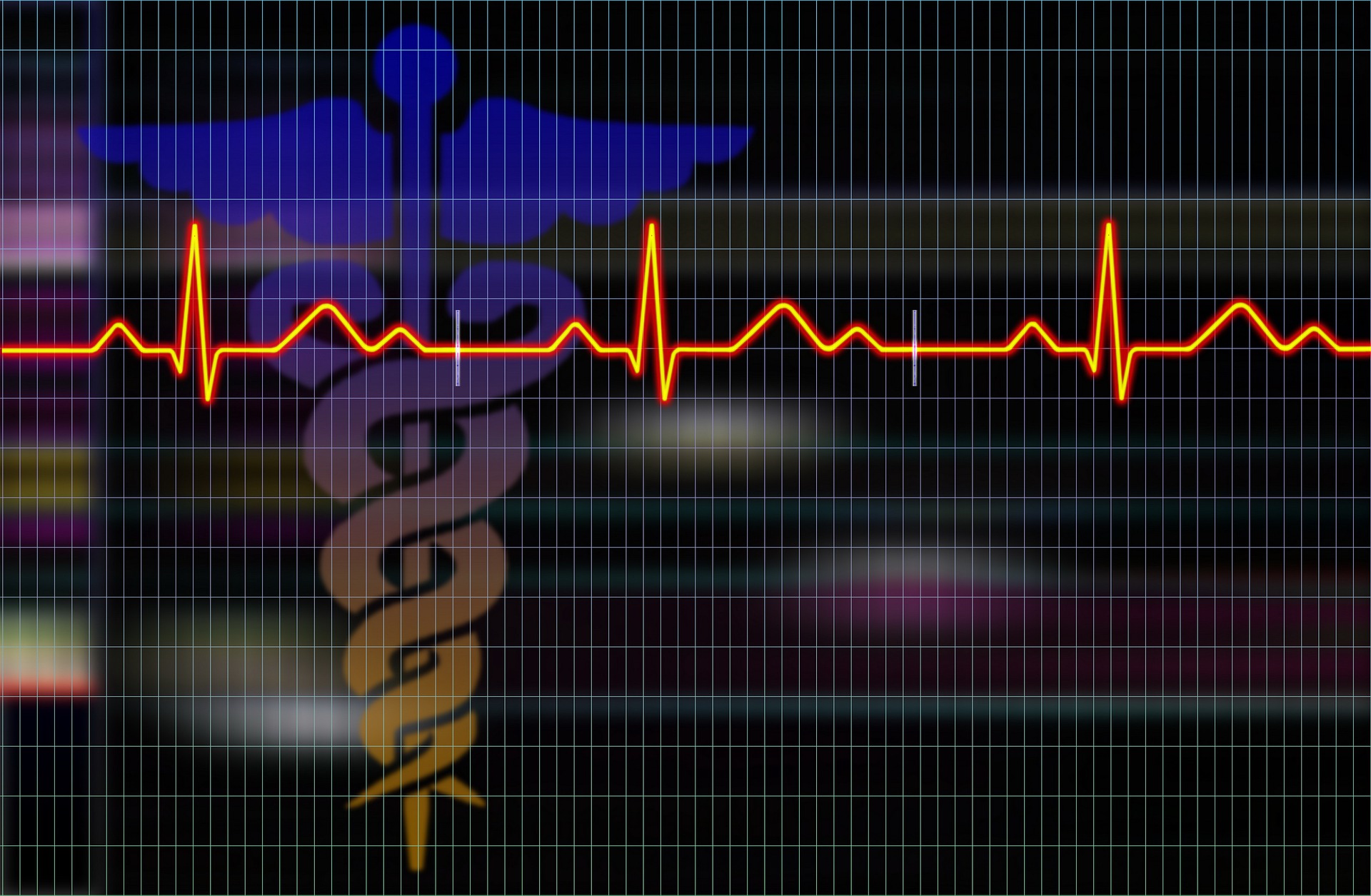 Le nombre de décès en Corse en 2020 suit la tendance nationale.