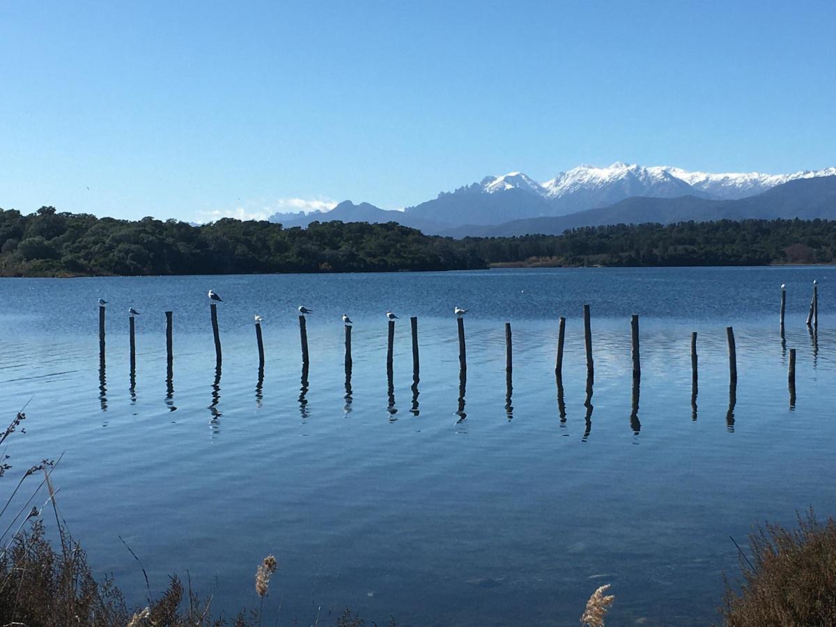 La photo du jour : la quiétude d’Urbinu