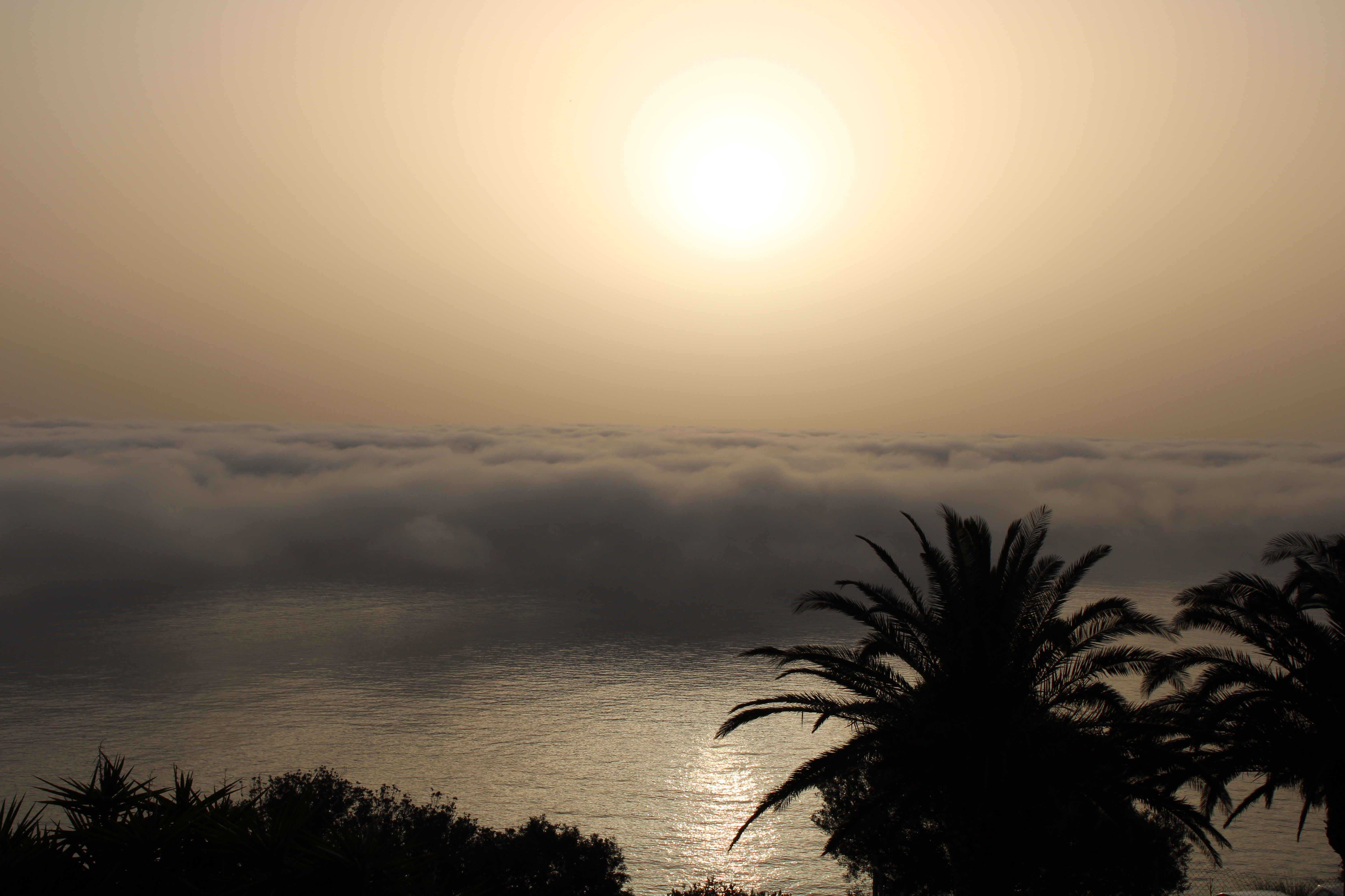 Toga, Ville di Pietrabugno (photo Alexandra Marchetti)