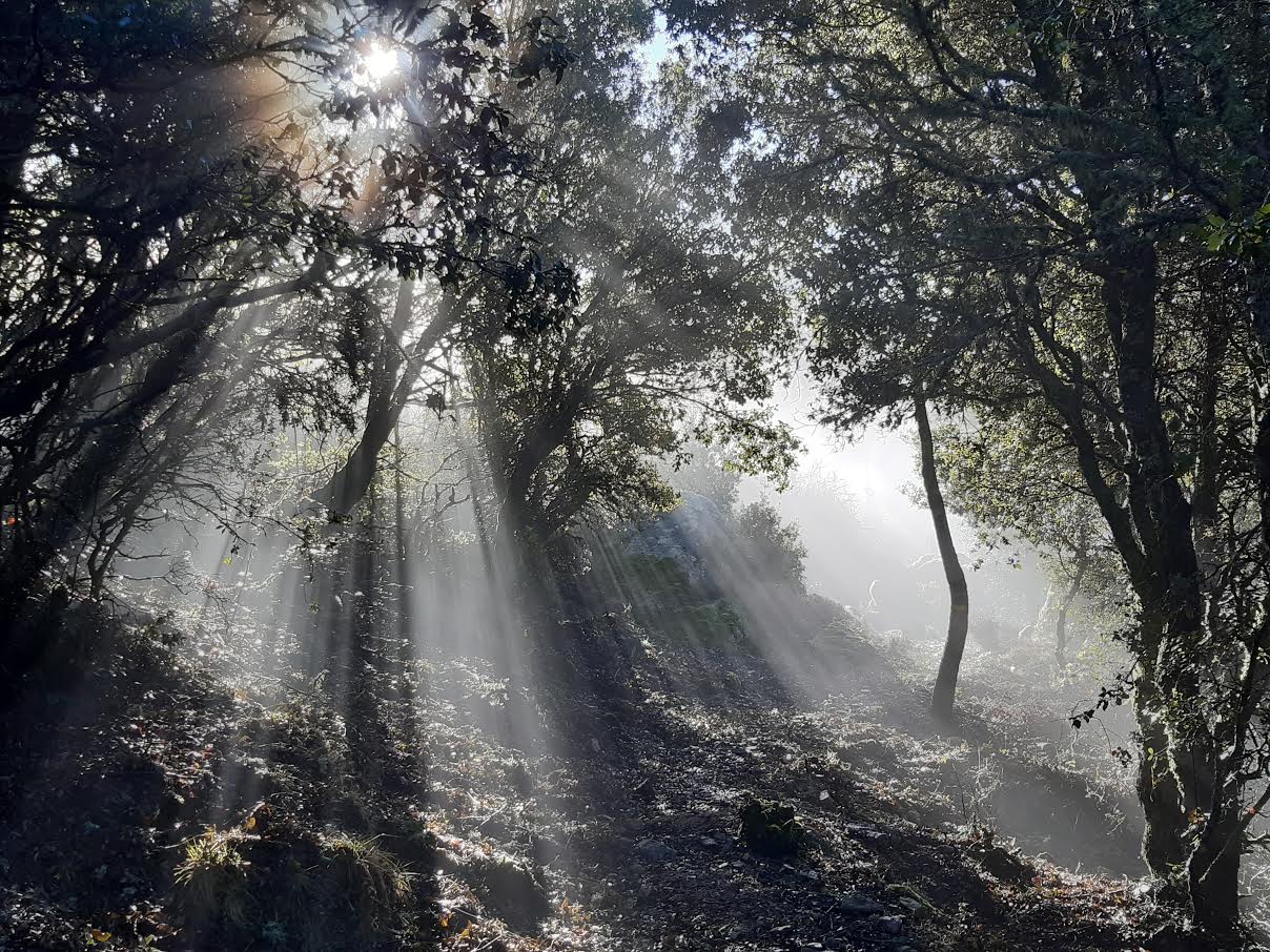 San Petru au petit matin (Photo Pascal Le Dervouet)