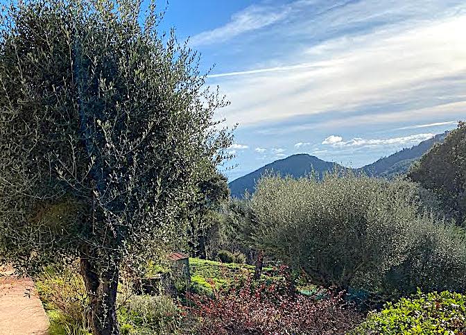 La météo du mardi 2 mars 2021 en Corse