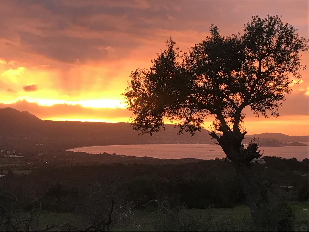 (Photo Gilles Suchier)