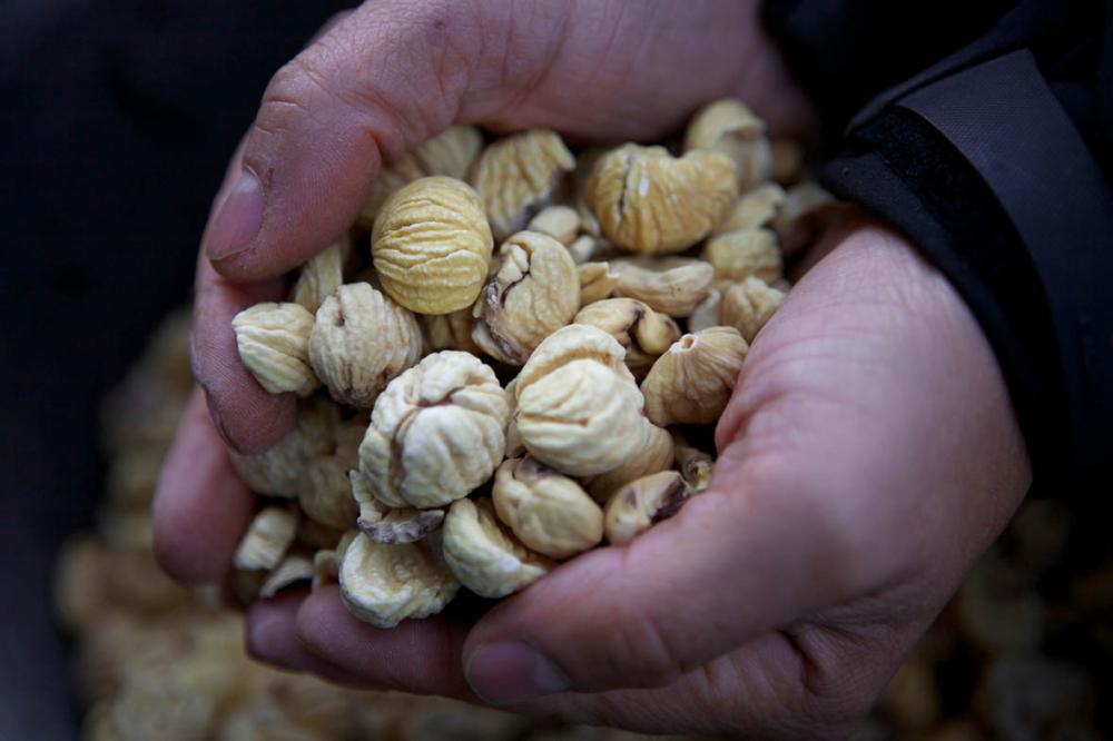Les producteurs corses ne pourront pas mettre en avant la qualité de leur produits au salon de l'agriculture de Paris cette année. Crédits Photo : Office du Développement Agricole et Rural de Corse