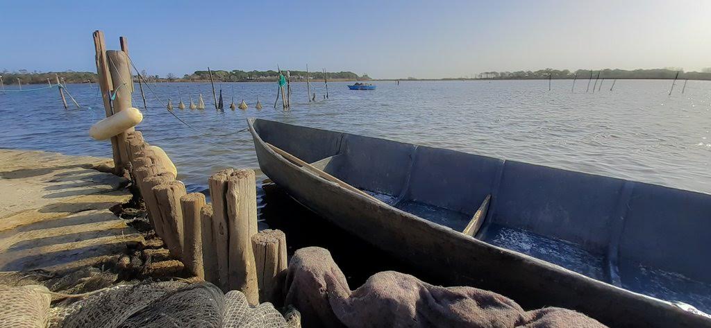 La photo du jour : à bord d'une barque de l'étang de Chjurlinu