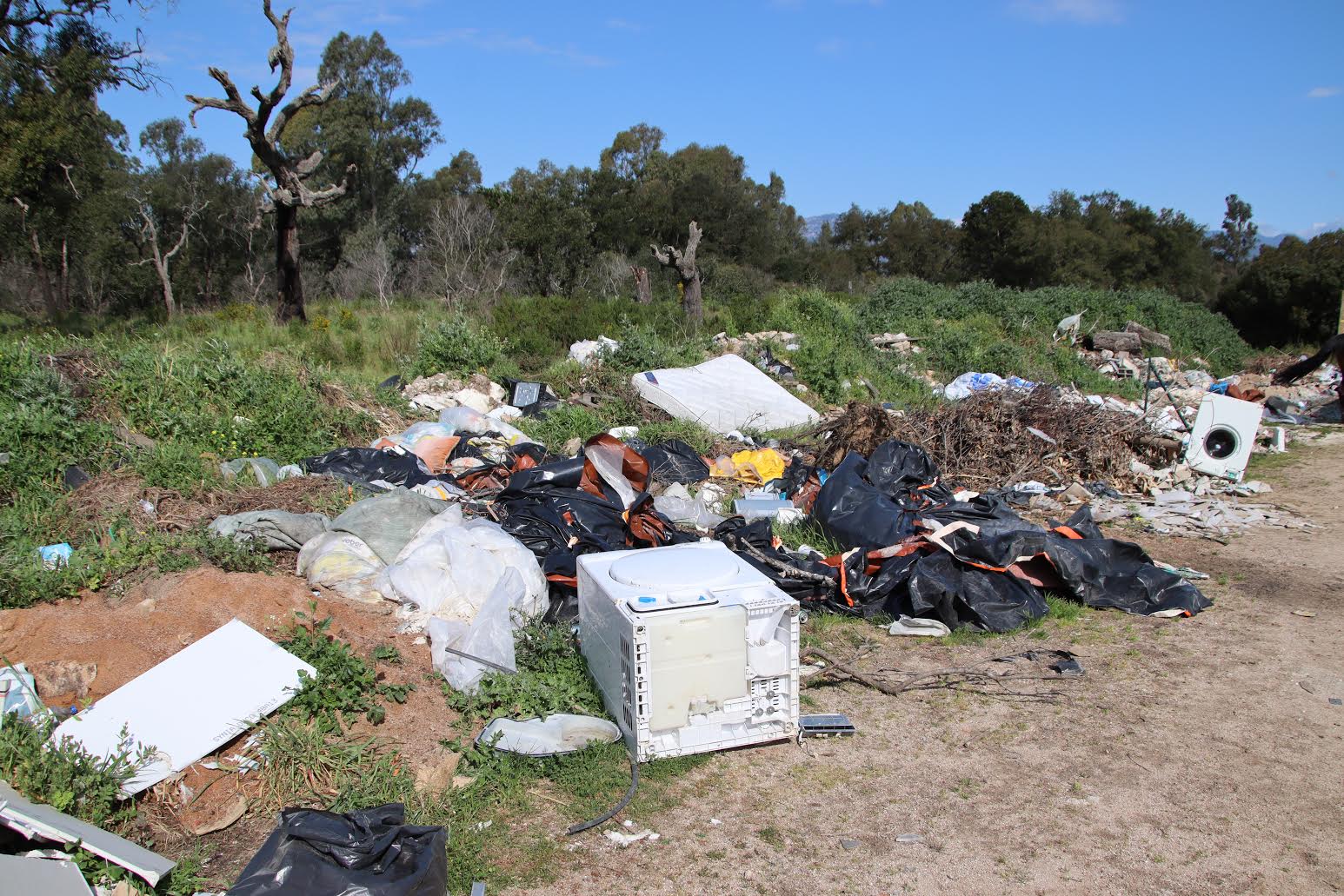 Porto-Vecchio : qui sont les monstres ?