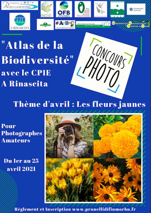 Prunelli-di-Fiumorbu : Un concours photo lancé sur le thème de la biodiversité