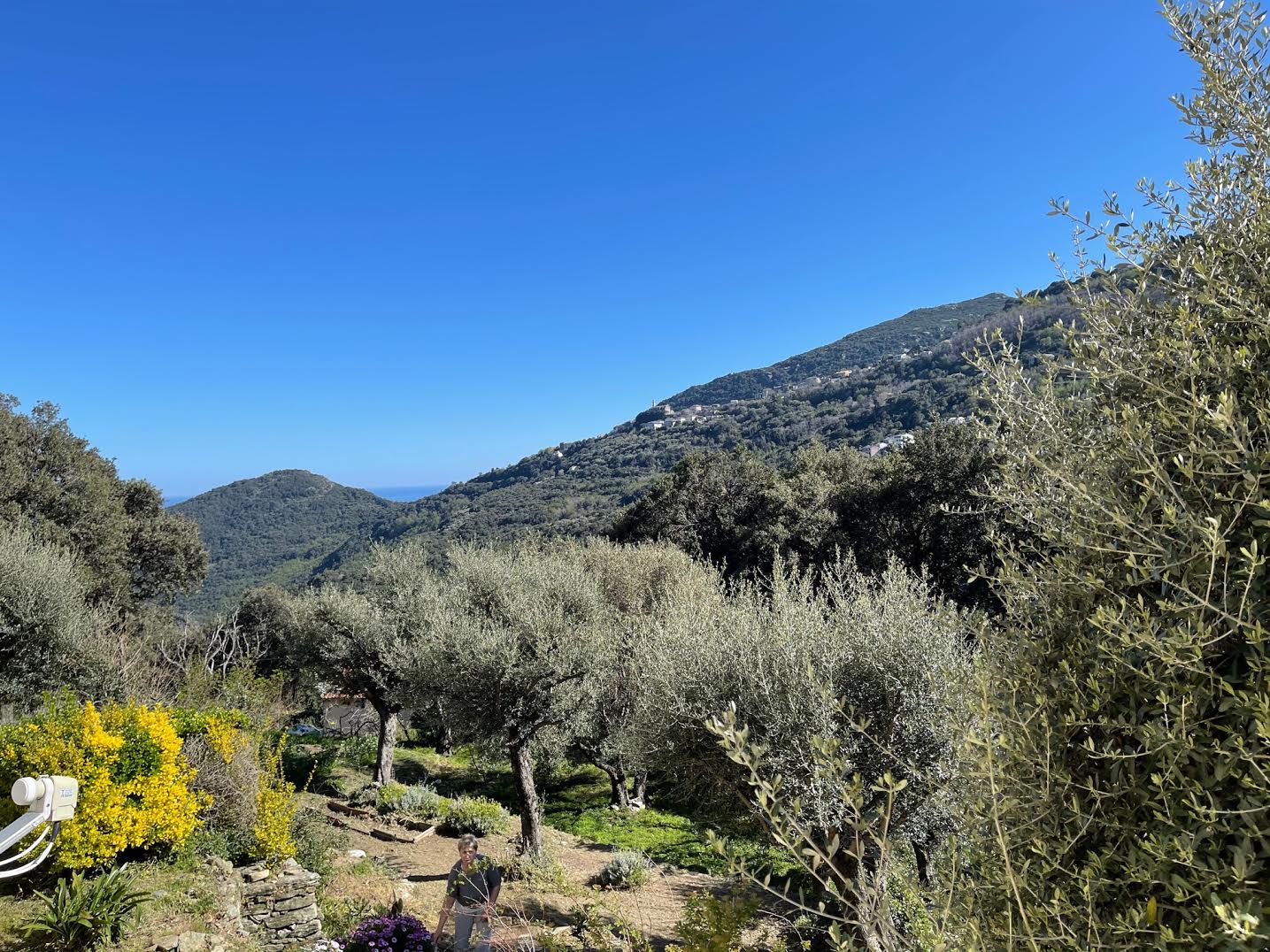 La météo du mercredi 7 avril 2021 en Corse