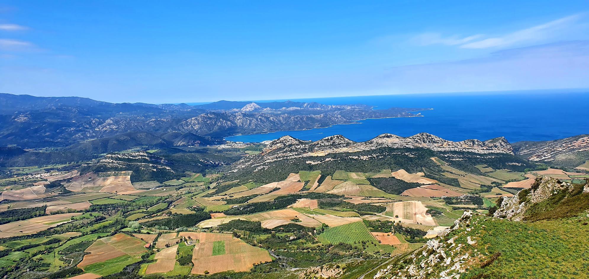 La photo du jour : le beau vignoble de Patrimoniu