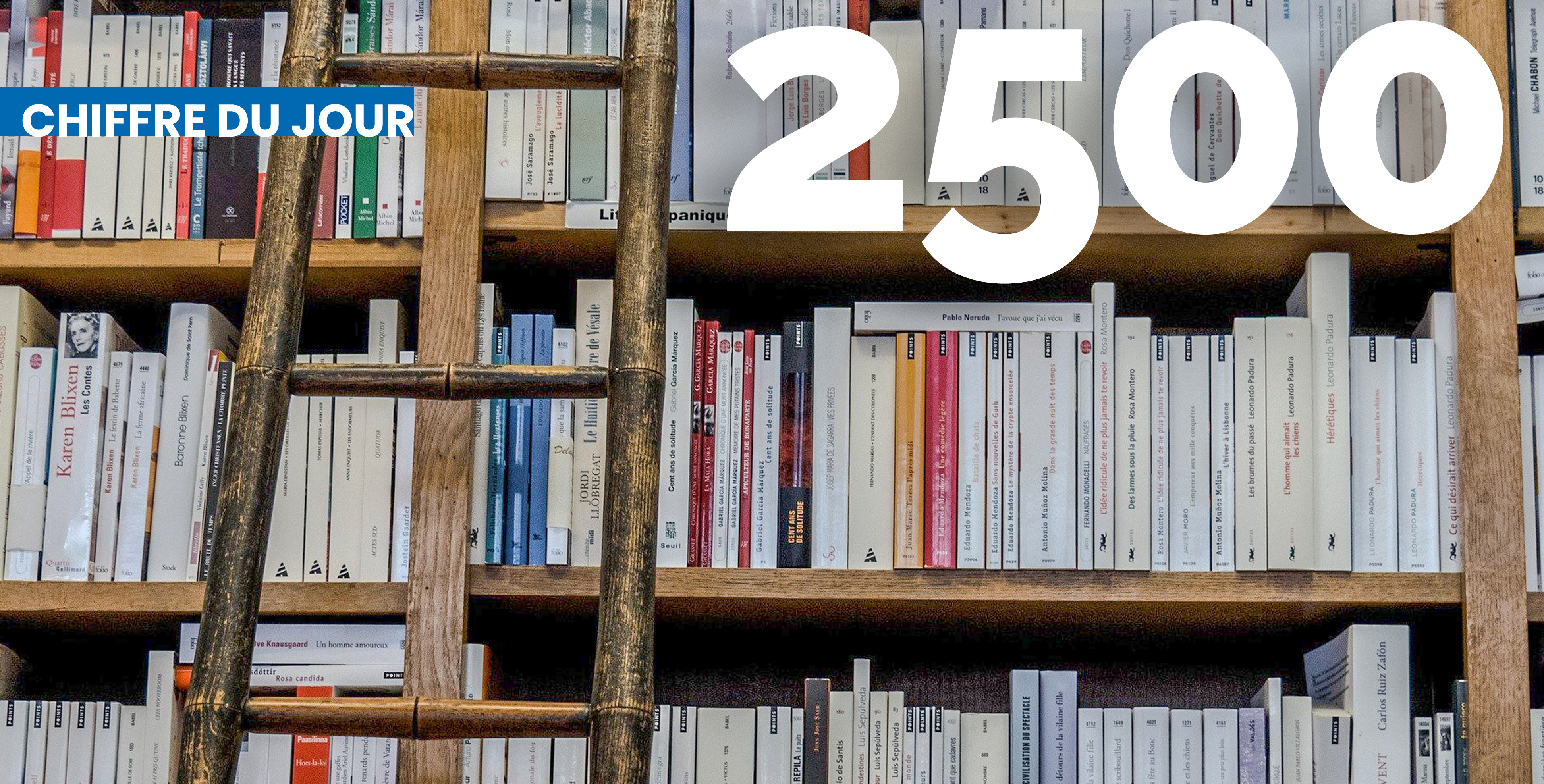 2 500 livres détruits par une dégât des eaux à la Bibliothèque des quartiers nord