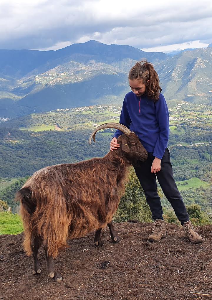 La photo du jour : Nunzia et sa chèvre Vero sur les hauteurs de Sarrola-Carcopino