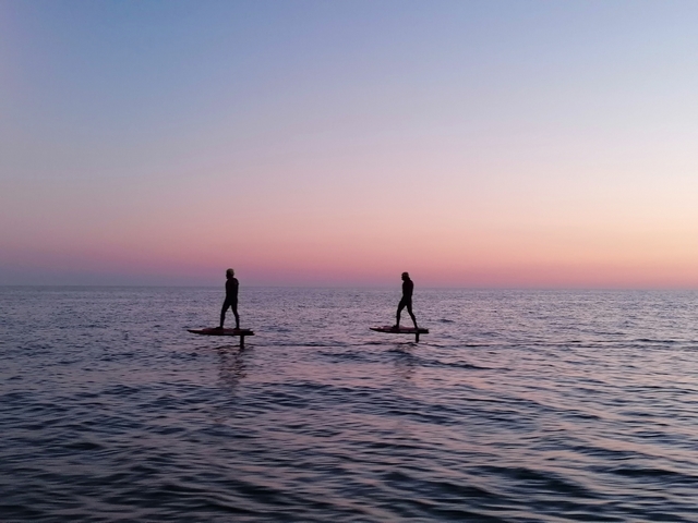 Ils ont volé sur l'eau