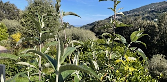 La météo du lundi 26 avril 2021 en Corse