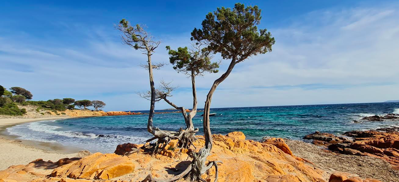 Palombaggia, photo Marc LAPORTE