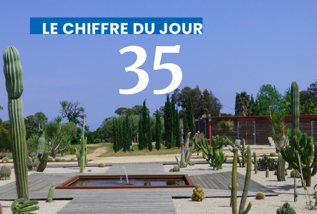 Chiffre du jour : 35 rencontres