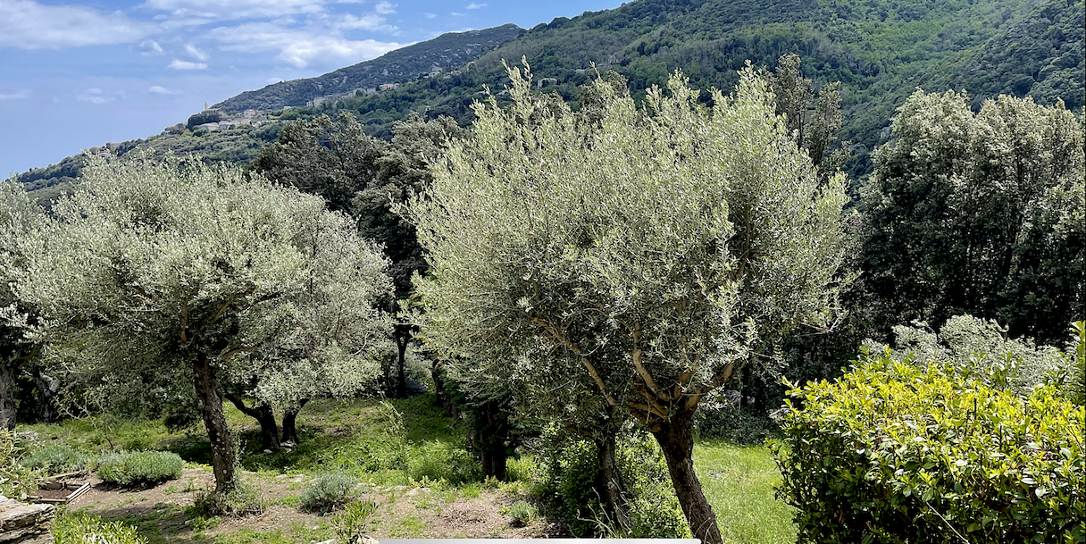 La météo du jeudi 20 mai 2021 en Corse