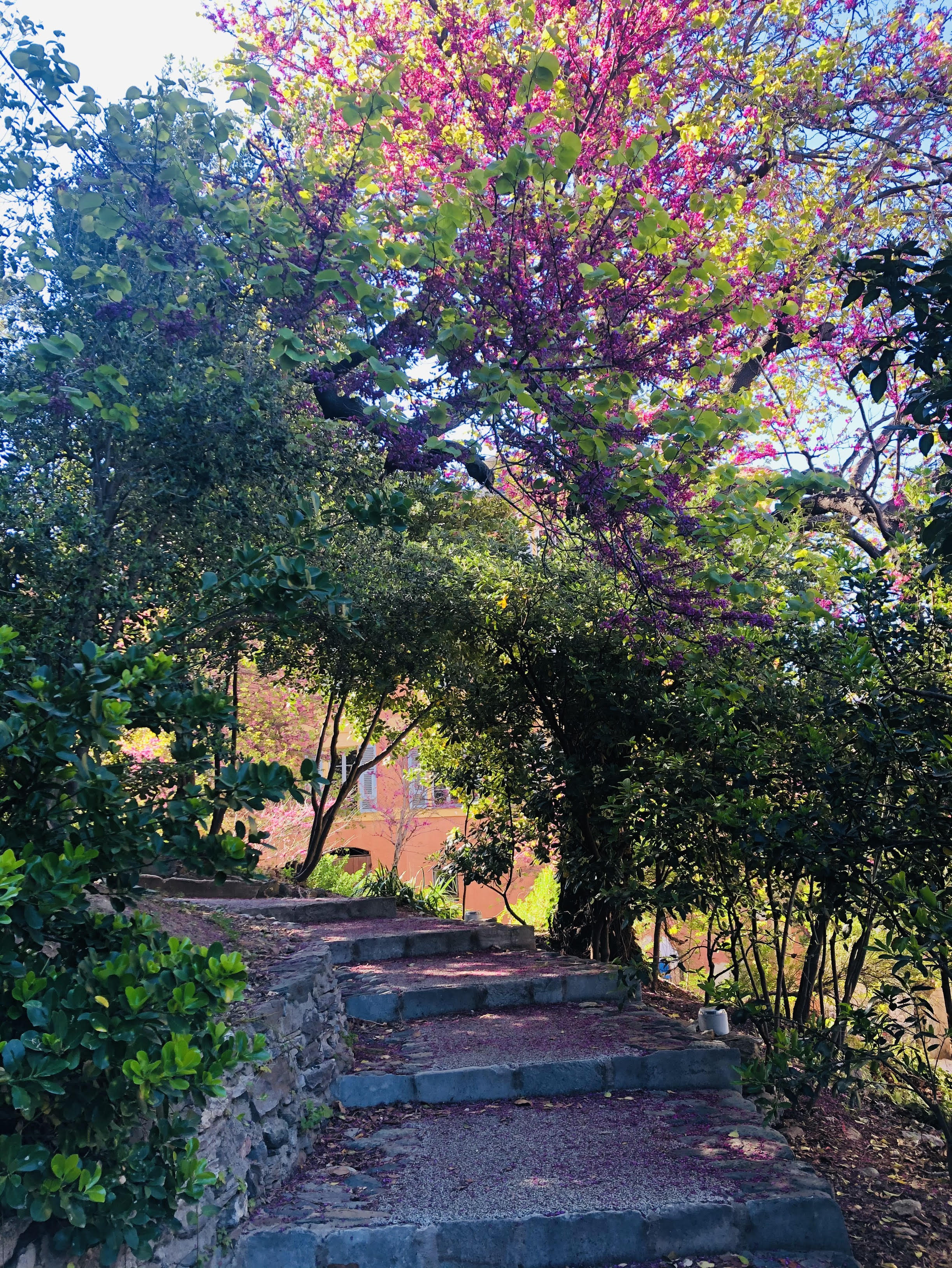 La photo du jour : un kaléidoscope de couleurs au jardin Romieu