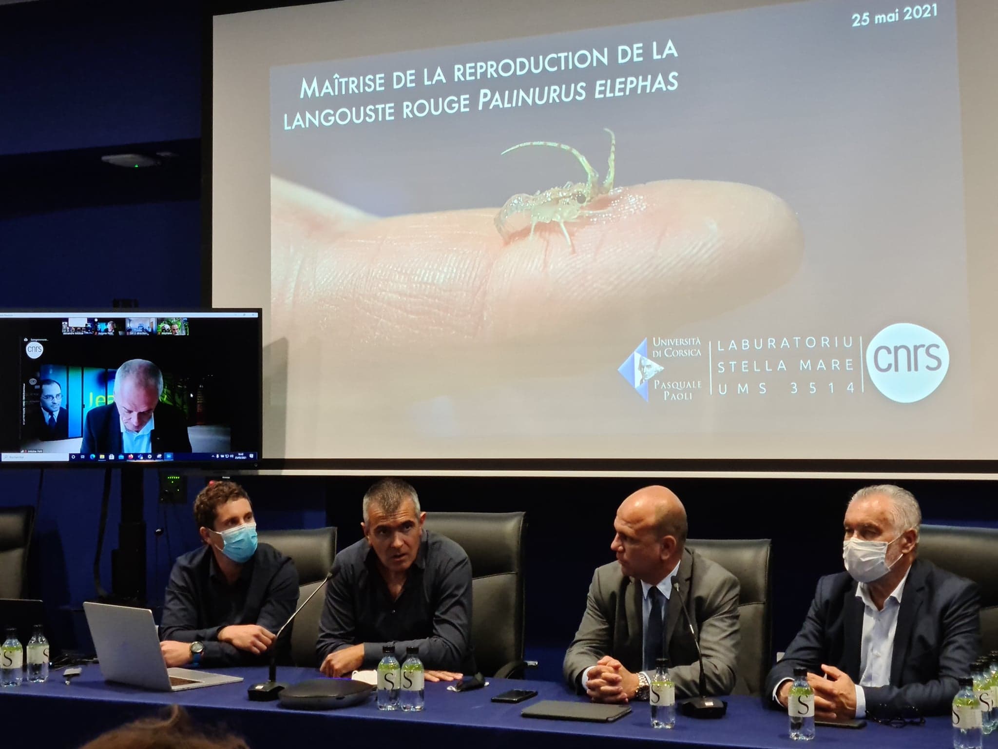 Antoine Petit, le président du CNRS est venu saluer l'avancée scientifique en visio. Crédits Photo : Pierre-Manuel Pescetti