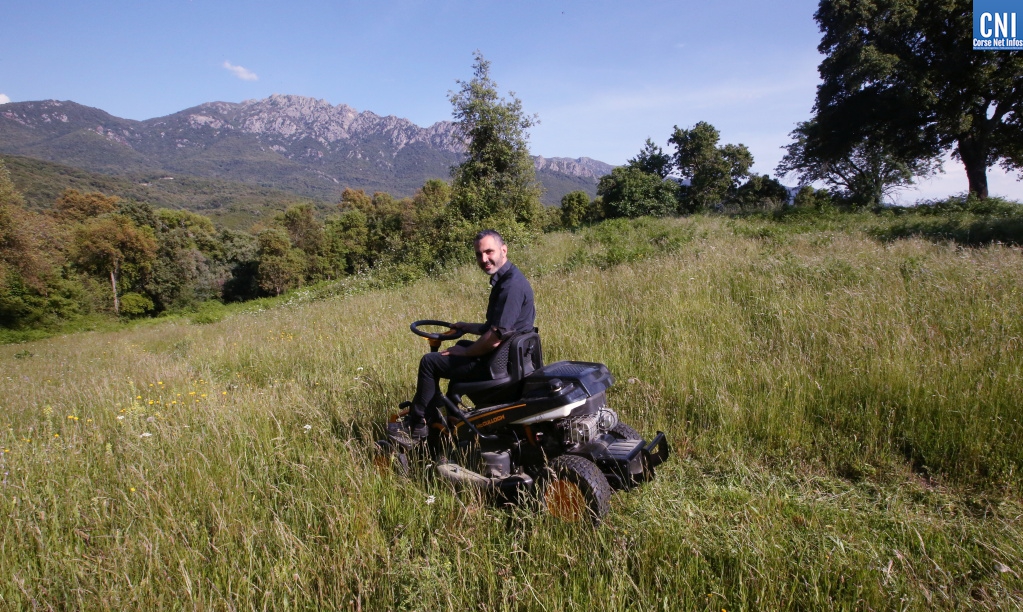 Le Père Louis ne rechigne jamais à mettre la main à pâte à Quarcettu. Photo : Michel Luccioni