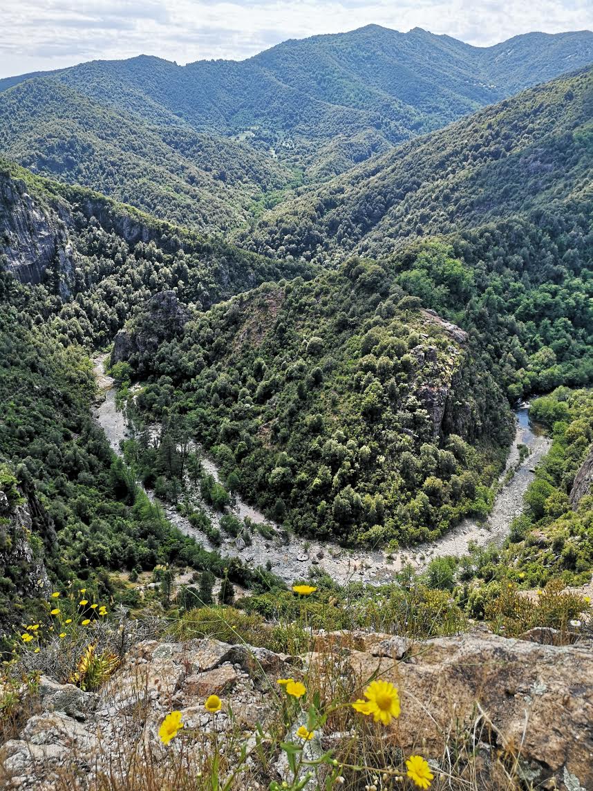 La photo du jour : le sourire du Liamone