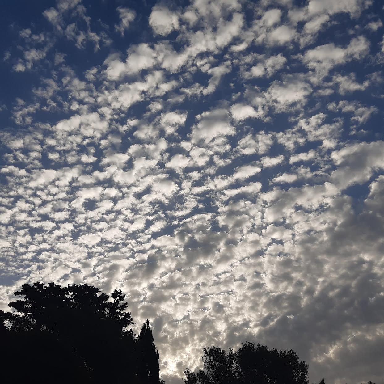 (Photo  Pascal  Le Dervouët )