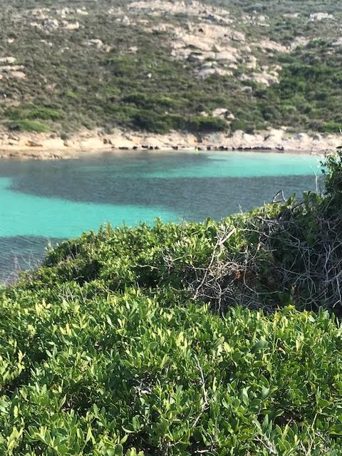 La Revellata (Jocelyne Gras)