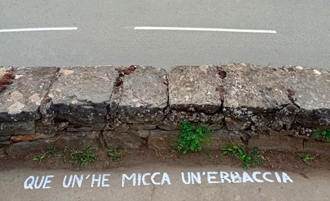 Corti in Fiori : un rendez-vous insolite pour découvrir la flore urbaine