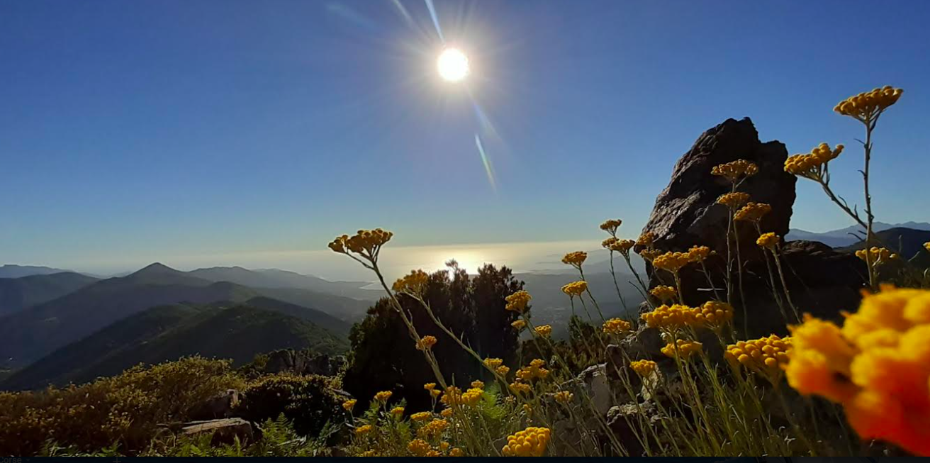 Photo Nunzia-Maria Vesperini