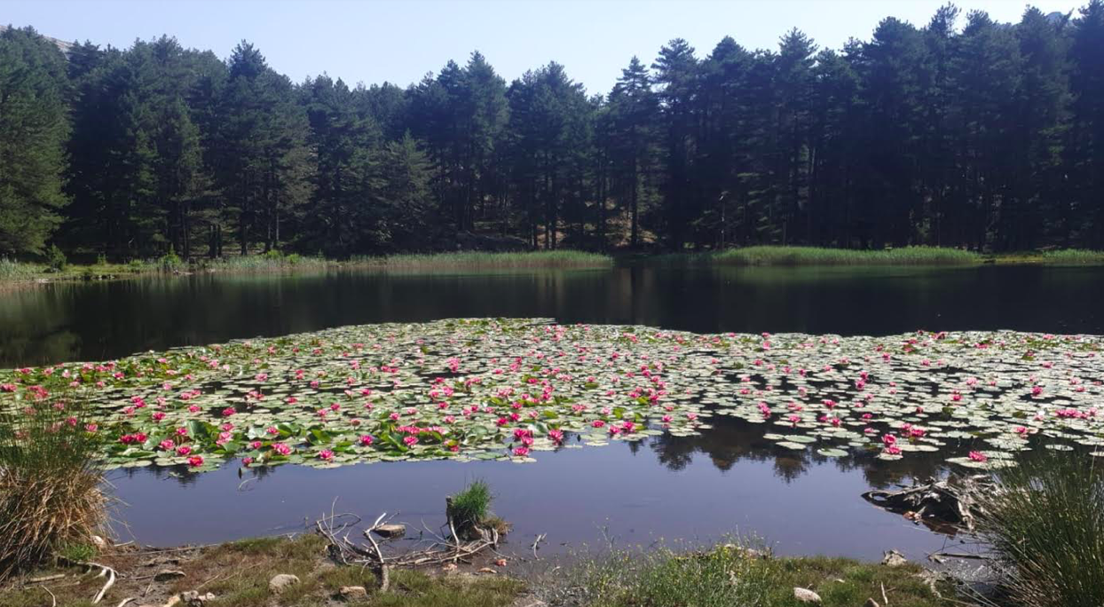 Photo Antoine VERSINI