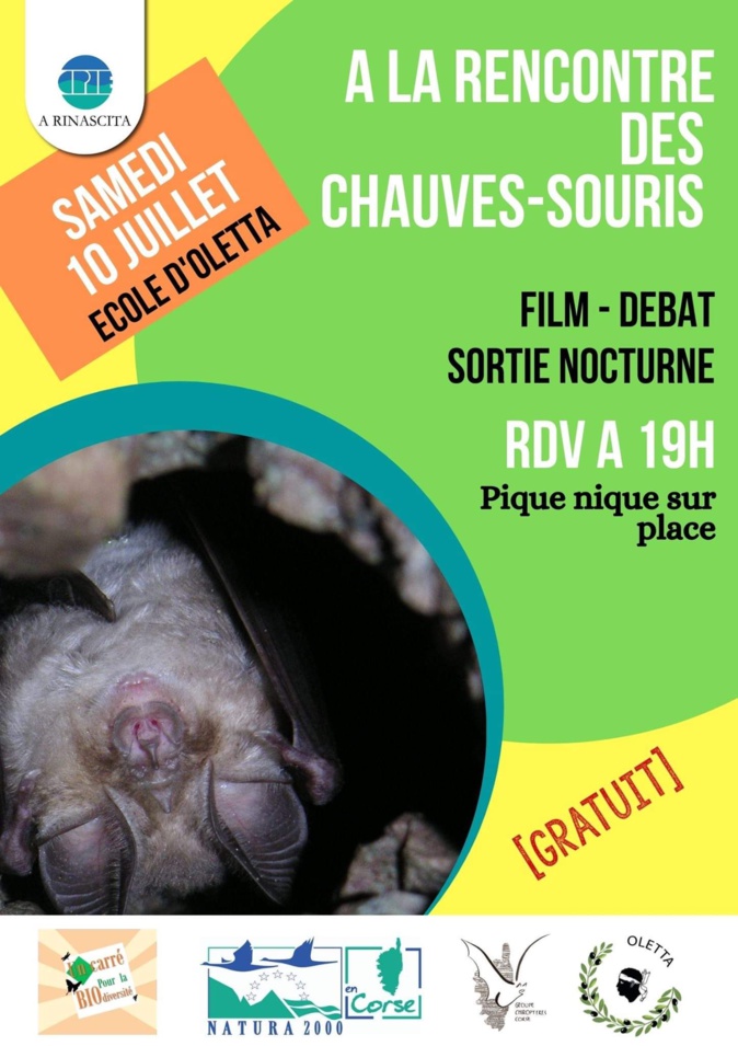 Oletta : rencontre avec les chauves-souris