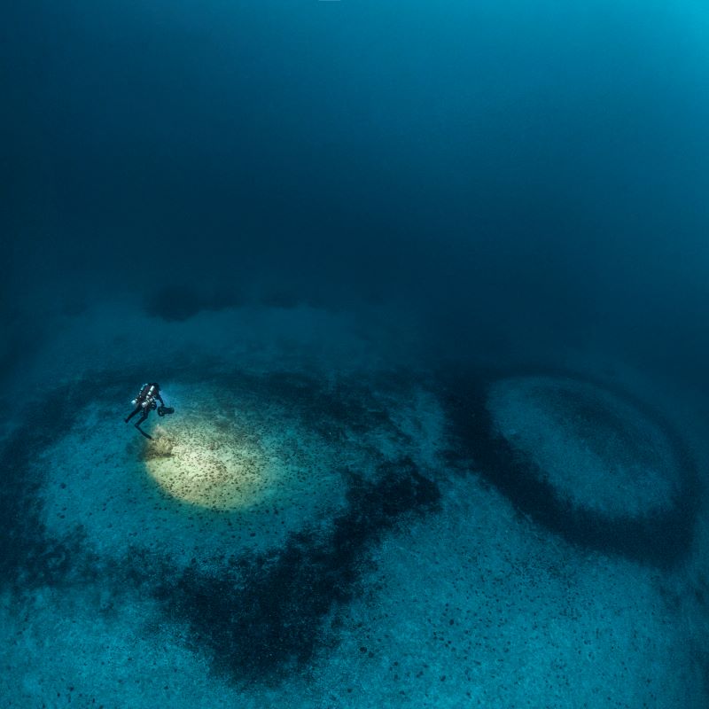 Atolls de coralligène ©Laurent Ballesta Gombessa Expéditions