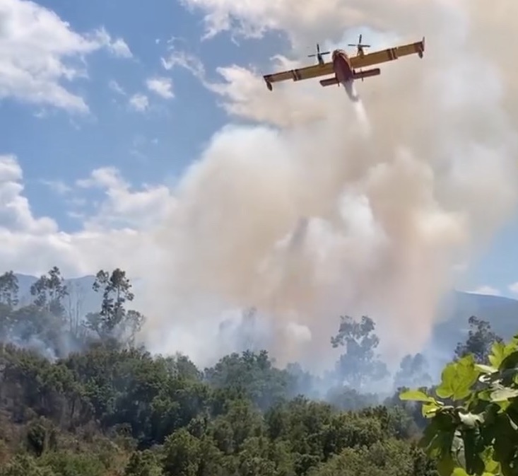 Incendie dans la plaine d'Oletta : 7 hectares détruits, une enquête ouverte