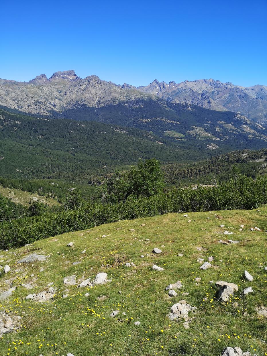 L'ascension depuis le col de Verghio vers le Lac de Ninu offre une vue époustouflante sur le toit de la Corse dont la majestueuse Paglia Orba. (Stéphanie Ingram)
