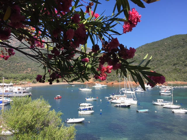 Girolata (Murielle Fix)